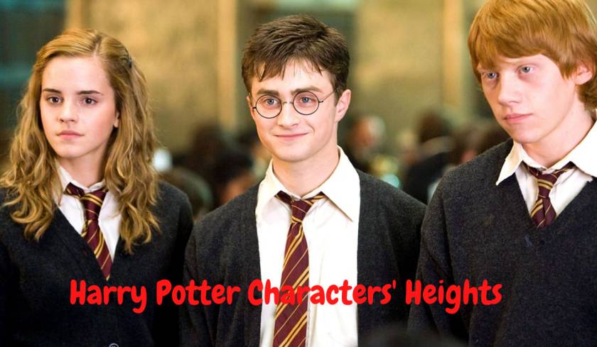 Harry Potter Characters' Heights
