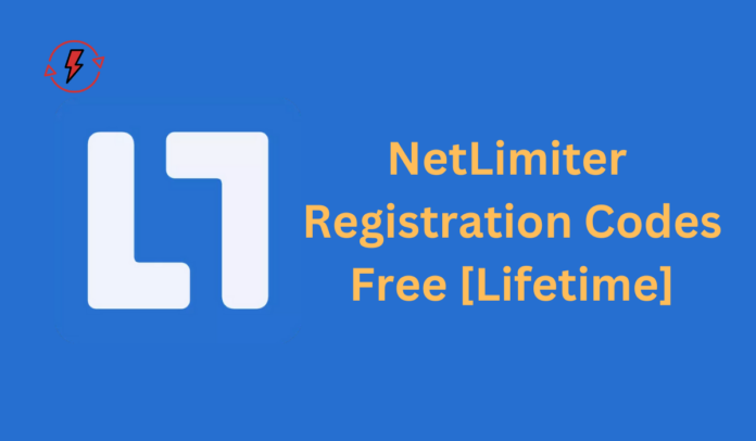 NetLimiter 5 Pro License Key